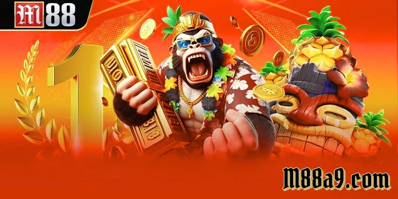 Chia vốn theo phiên – mẹo nhỏ giúp giữ thế chủ động khi chơi slot